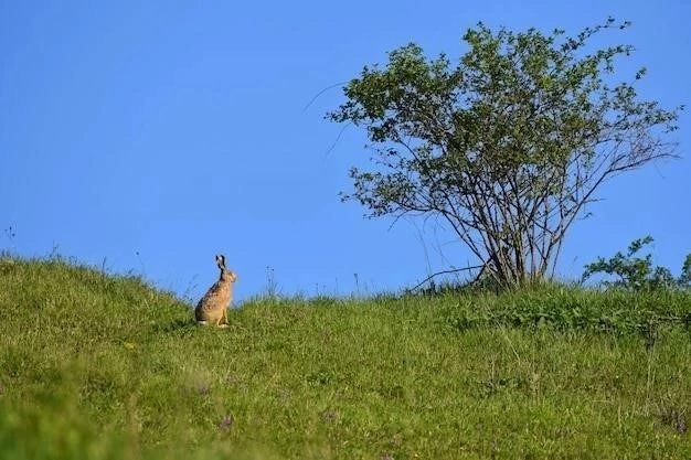 Llanura Chaco Pampeana: Charakterystyka, Flora, Fauna, Klimat