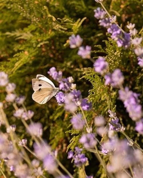 Flora i fauna Włoch