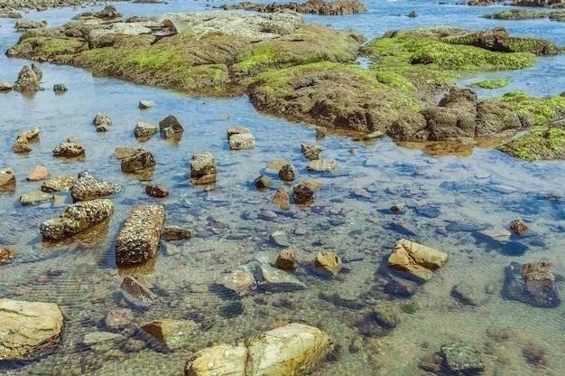 Region Chala (Wybrzeże Peru)⁚ Klimat, Ukształtowanie Terenu, Fauna