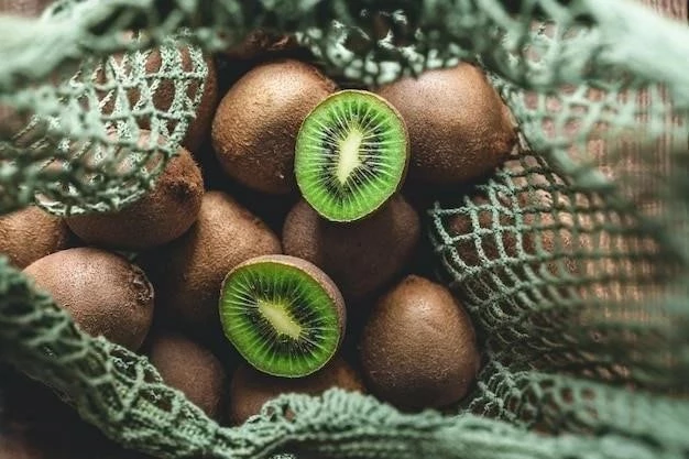 Kiwi: Symbol Nowej Zelandii