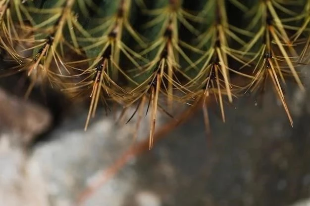 Pinus cembroides: Opis, Charakterystyka, Siedlisko, Zastosowania, Choroby