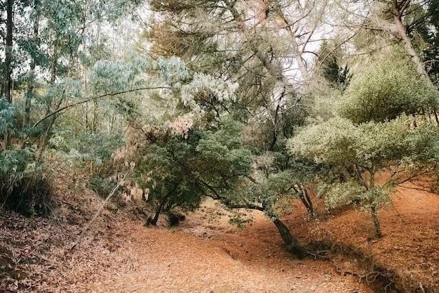 Las Medyterranean: Charakterystyka, Flora, Fauna, Rzeźba Terenu