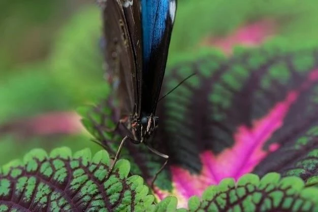 Serranía esteparia: definicja, cechy, flora i fauna