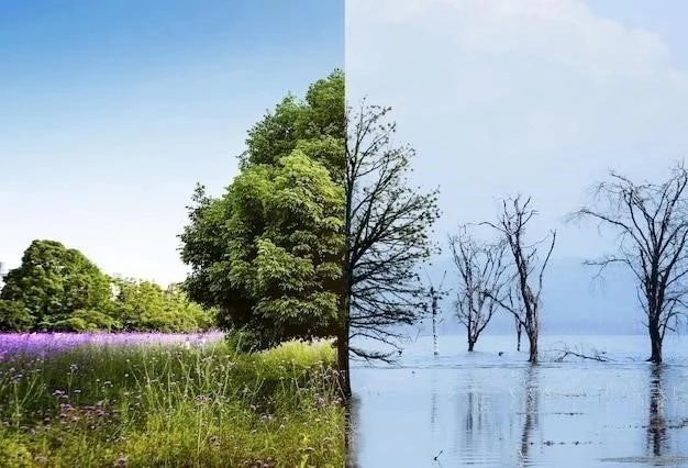 Klimat Temperat: Charakterystyka i Podział