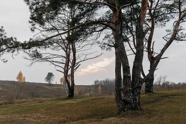 Dąb ostrolistny: charakterystyka, siedlisko i zastosowania