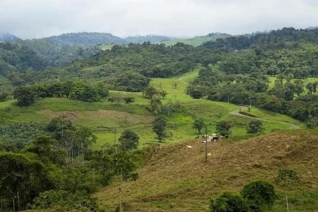 Llanuras de Colombia: Równiny o kluczowym znaczeniu dla geografii i gospodarki